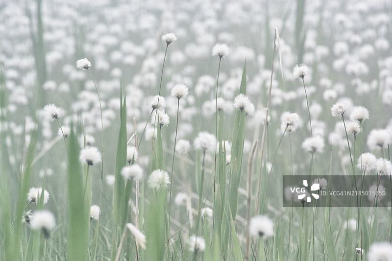 乌兰大景色图片素材