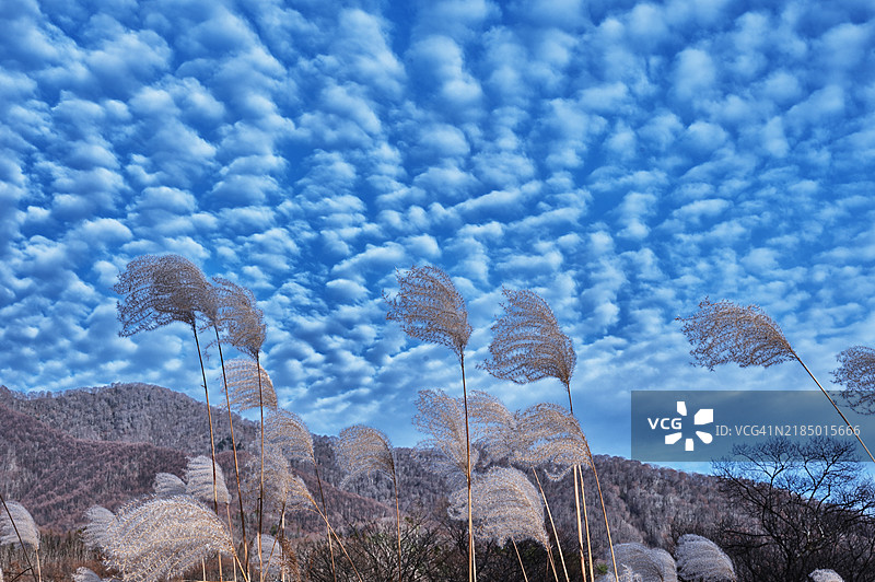 乌兰大景色图片素材