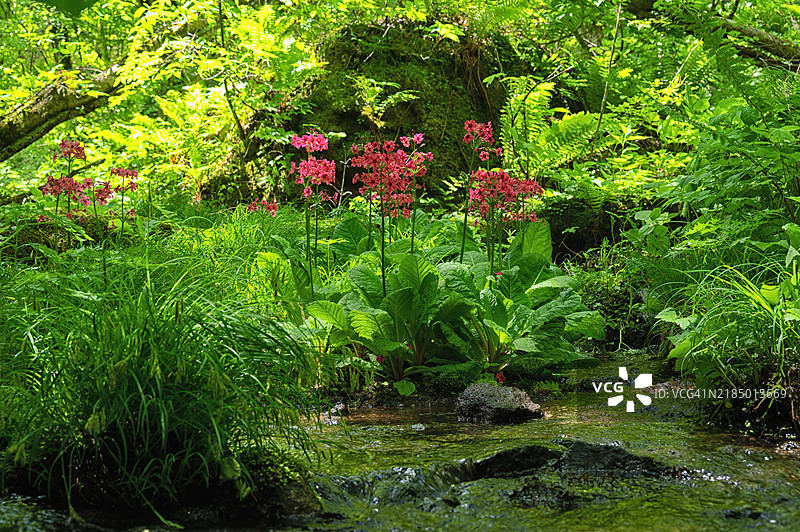乌兰大景色图片素材