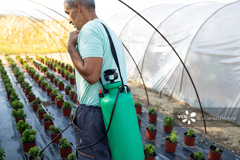 一位老年男子在他的花卉种植园里努力工作图片素材