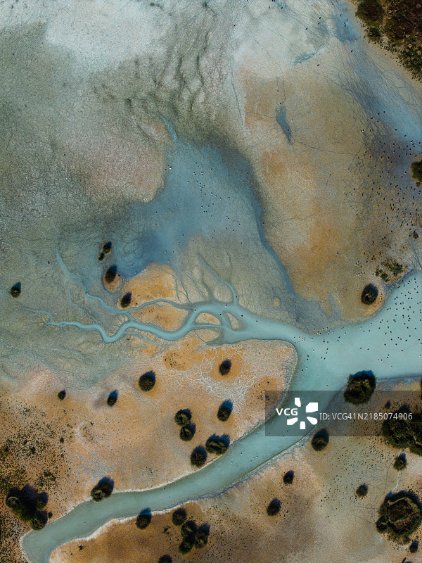 自然形状和纹理图片素材