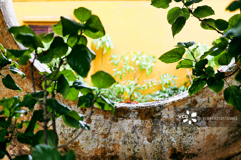 通过圆形窗户看到的黄色背景墙图片素材