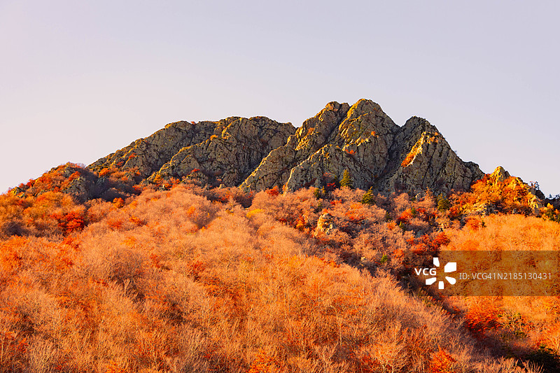 蒙森自然保护区的阿古德斯山峰，金色的色彩图片素材