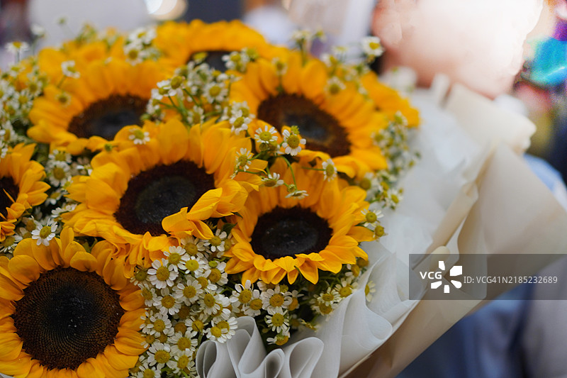 向日葵花束黄色花朵图片素材