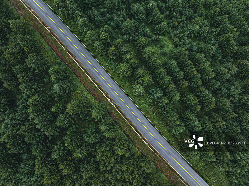绿色森林中的山路鸟瞰图图片素材
