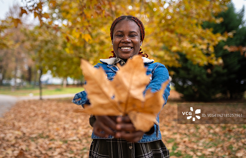 玩弄金色的树叶图片素材