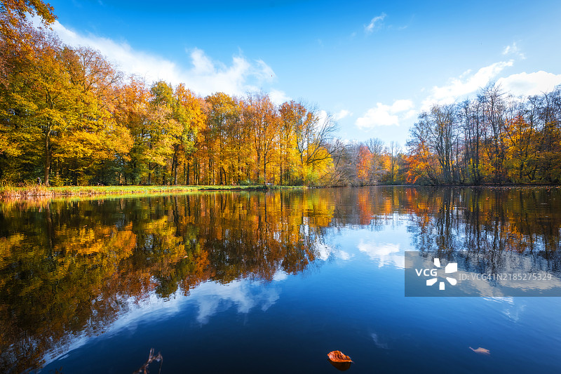 秋天宁静湖面上树木的倒影图片素材