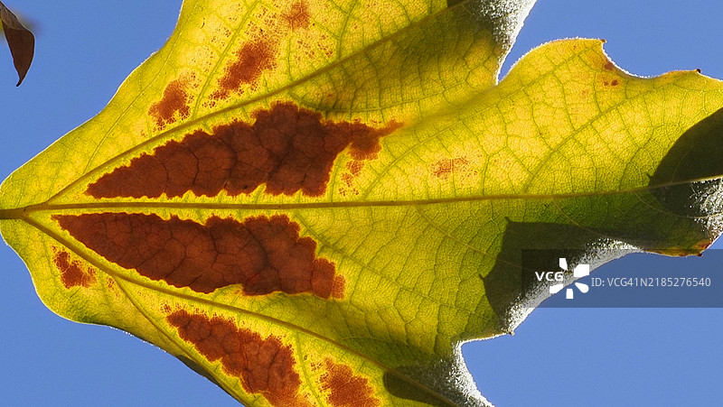 经历变化图片素材