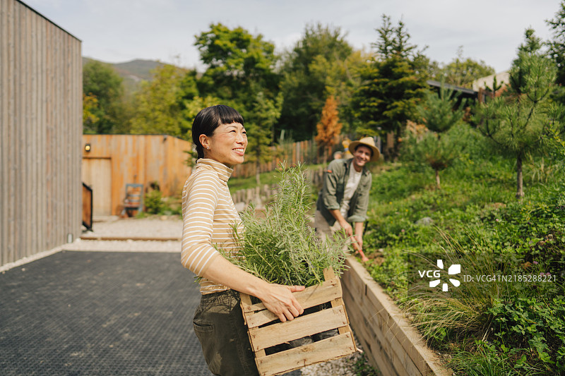 朋友们一起种植香草，共享园艺的快乐图片素材