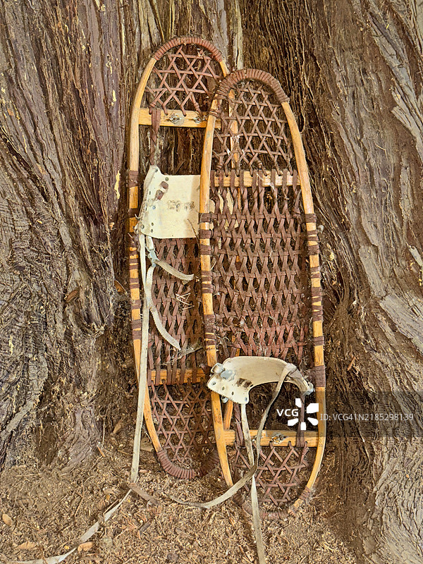 一双传统的木制和皮革雪鞋靠在树旁。图片素材