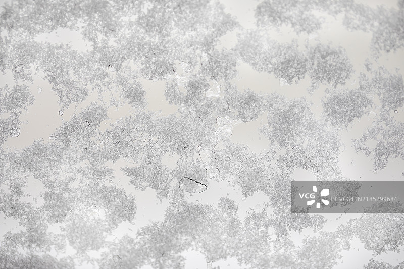 窗户上的雪花图片素材