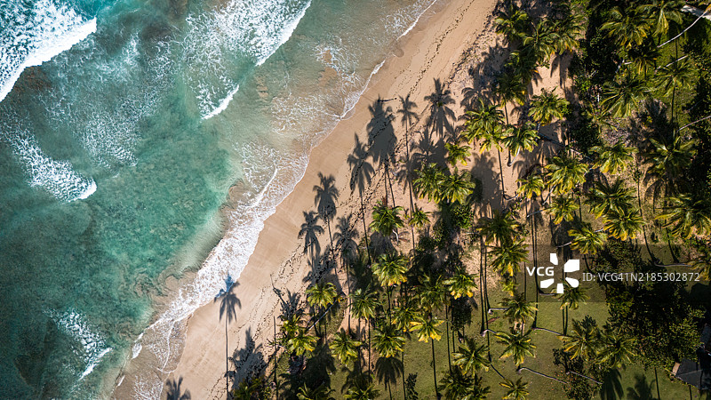 科松海滩的乐园阴影图片素材