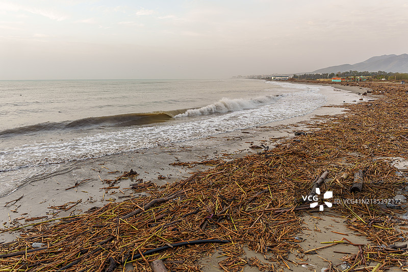 严重洪水后冲上沙滩的洪水受损甘蔗杆图片素材