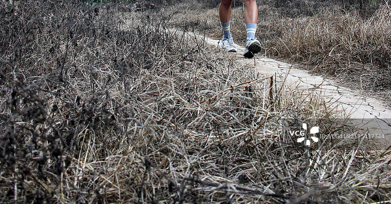 冬季草地间的小山径小道图片素材