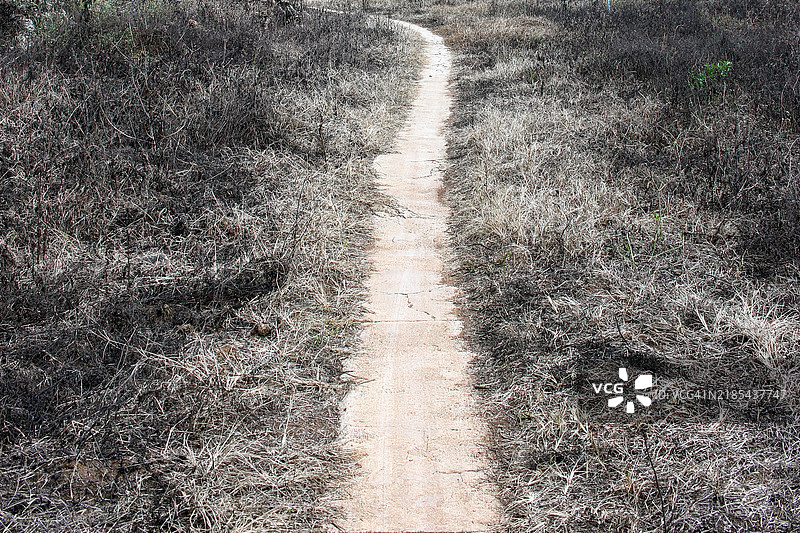 冬季草地间的小山径小道图片素材