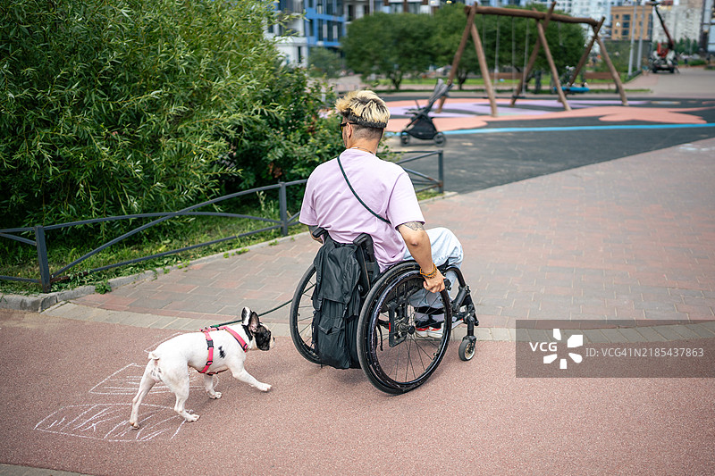 户外一位坐在轮椅上的残疾年轻人与他的宠物、服务犬和残疾主人。图片素材