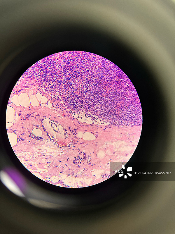 抽象背景的全景拍摄， 中国图片素材