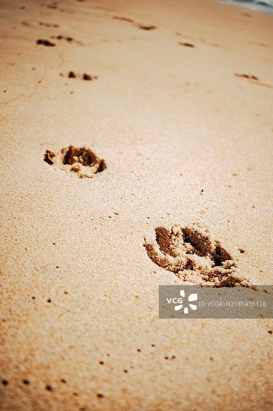 高角度视图的沙滩足迹图片素材