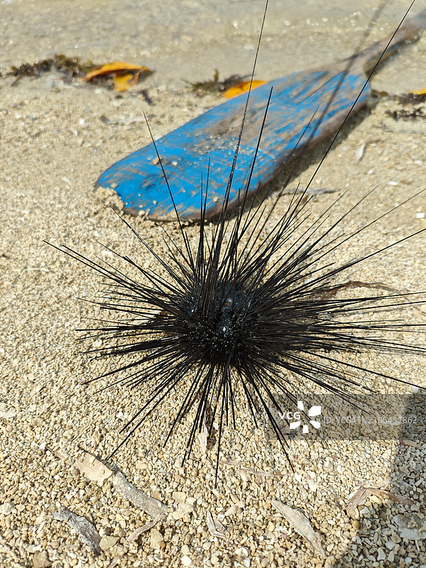 海滩上的冲浪板特写图片素材