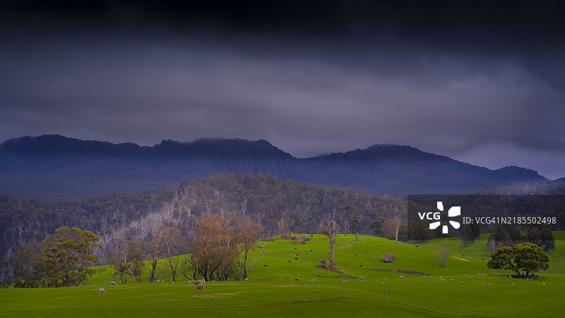 俯瞰塔斯马尼亚北部上布莱辛顿地区的本洛蒙德国家公园的风景观景点。图片素材