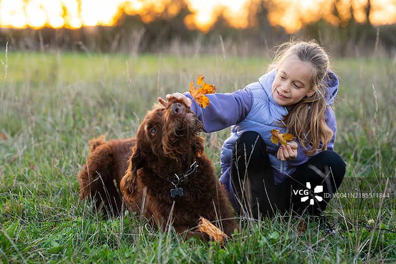 年轻女孩和她的狗在秋天的草地上一起玩耍图片素材