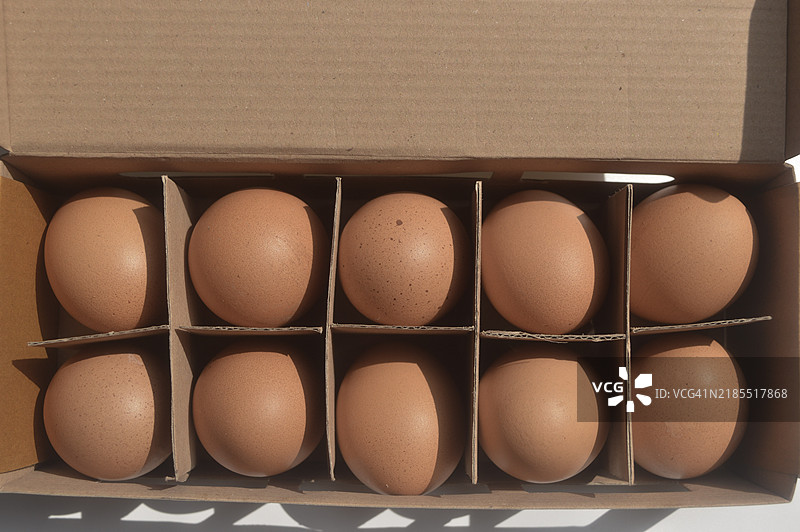 一 carton 鸡蛋图片素材