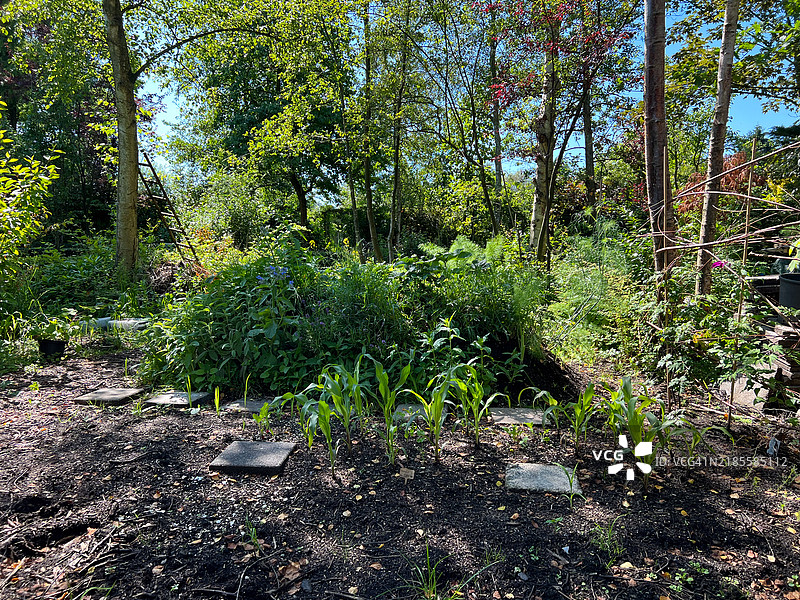 高架花园床图片素材