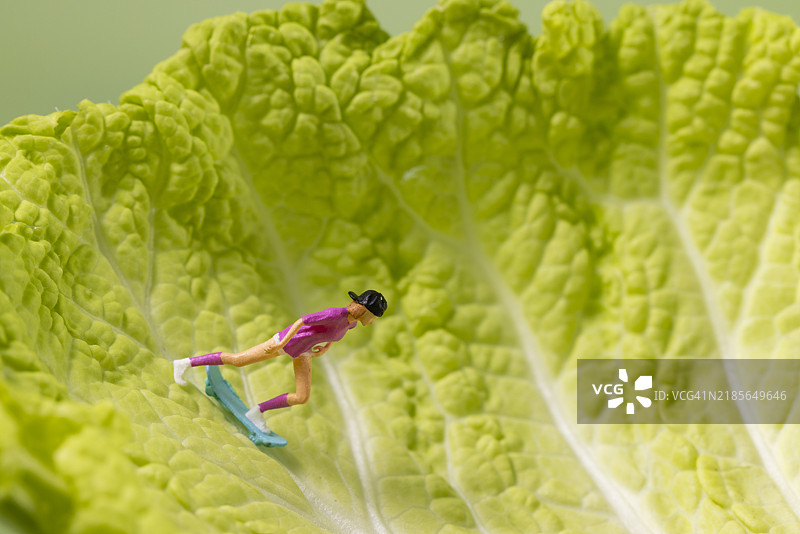 滑板小人正在卷心菜叶上滑板图片素材