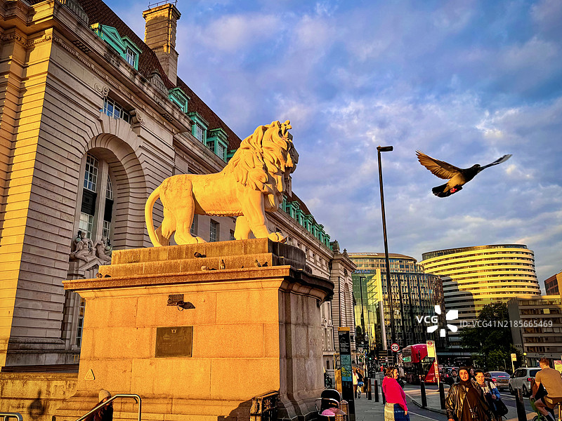 一只鸟飞过县厅前的南岸狮子。图片素材