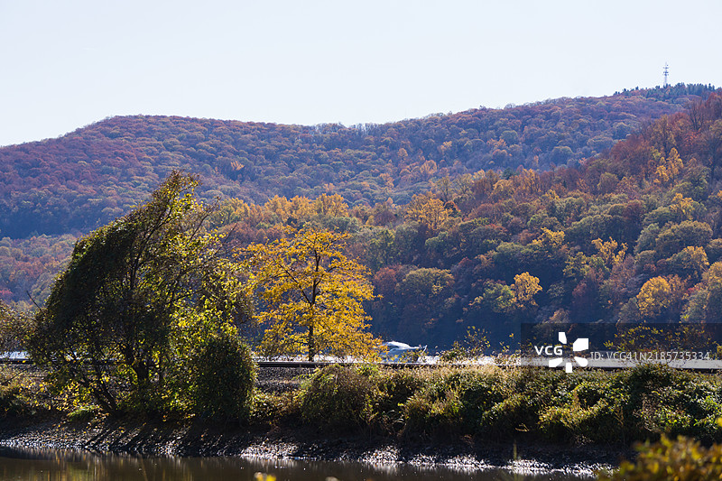 秋天时，湖边的树木与天空相映，冷泉港，纽约，美国图片素材