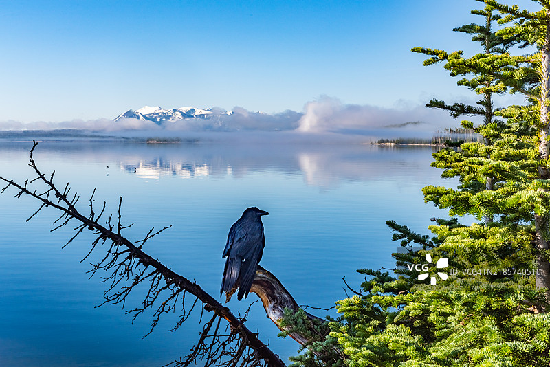 黄石国家公园，怀俄明州，美国的黄石湖景观图片素材