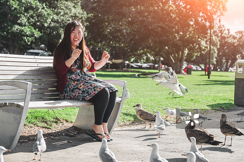 女孩坐在椅子上与海鸥玩耍图片素材