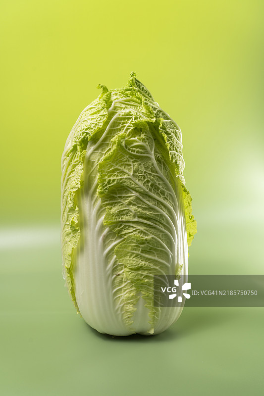 白色背景上的中国白菜图片素材