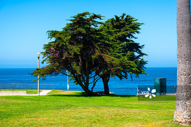海边的树木与晴朗的蓝天，维森特角灯塔，洛杉矶，帕洛斯维德斯，加利福尼亚州，美国图片素材