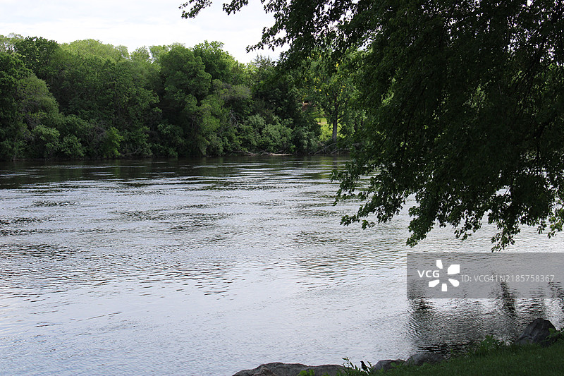 明尼苏达州蒙蒂塞洛森林中的湖泊风景图片素材
