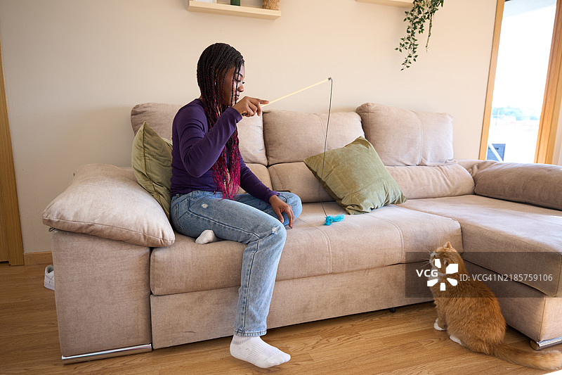 年轻女子在家沙发上与她的姜黄色猫咪玩耍图片素材