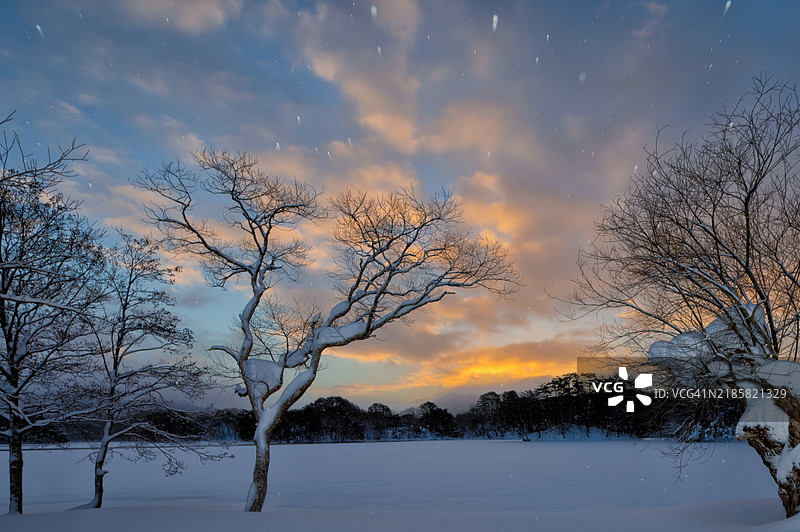 乌兰大野冬季风光图片素材