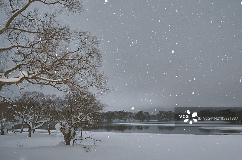 乌兰大野冬季风光图片素材