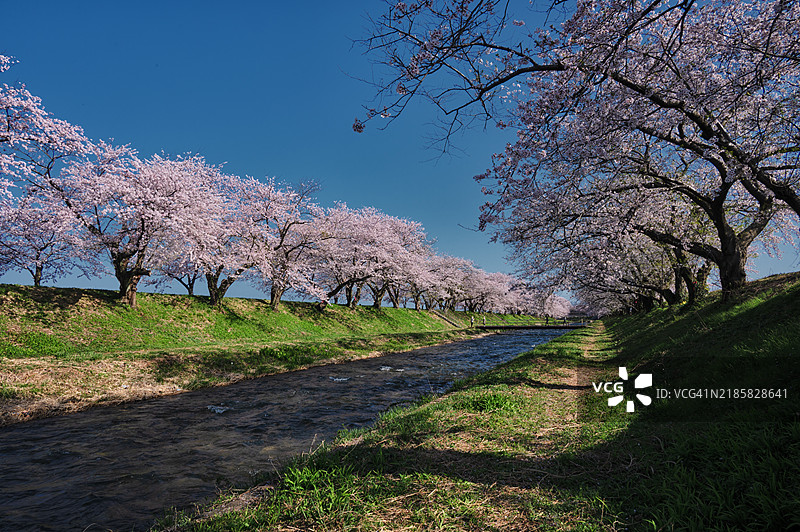 富山朝日镇春季风光图片素材