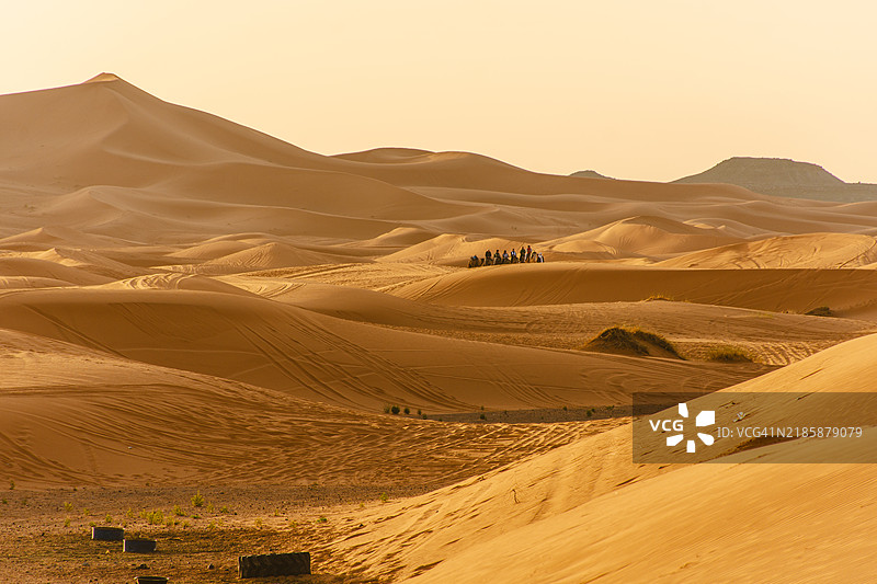 撒哈拉沙漠的日出图片素材