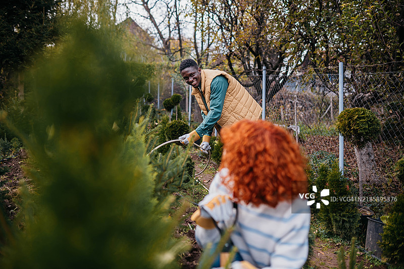 在花园中心种植图片素材
