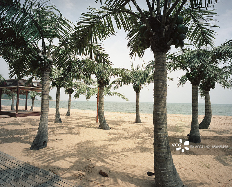 申根保加利亚图片素材