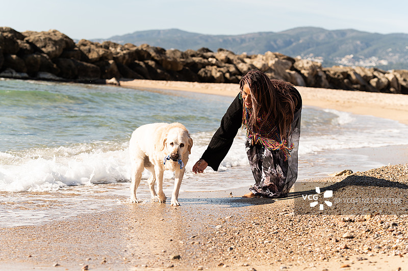 女人在海滩上与拉布拉多犬玩耍图片素材