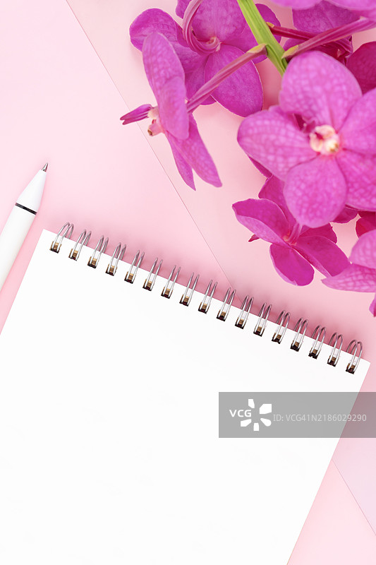 一本打开的螺旋装订笔记本和一支粉色兰花的钢笔。图片素材