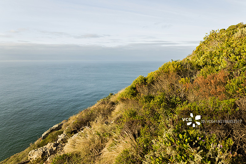 南非西开普省普莱滕贝格湾附近罗贝格自然保护区的海岸风光图片素材