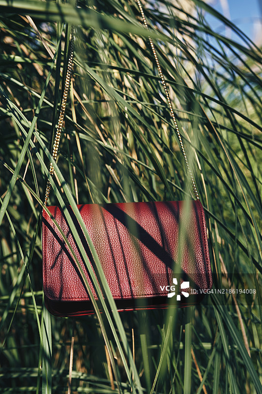 红色钱包挂在金链子上，置于绿色草地上图片素材