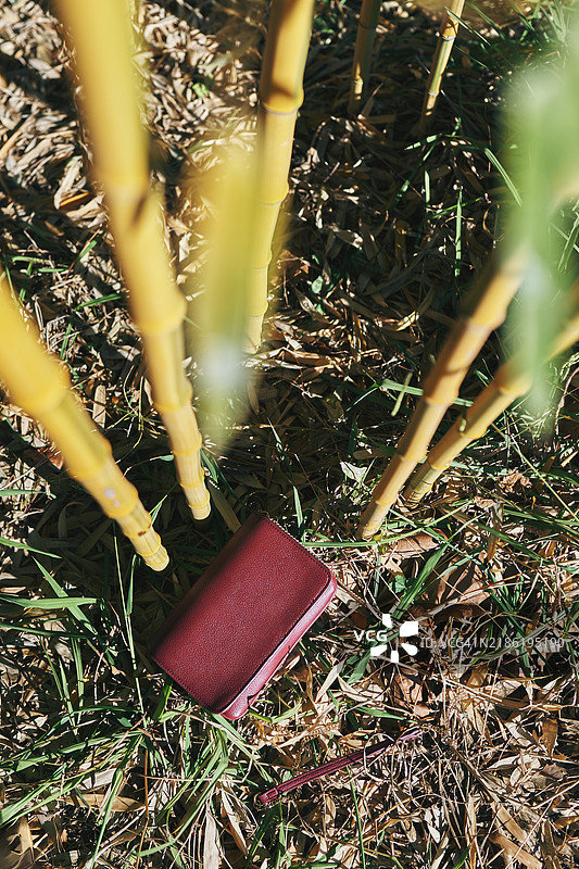 皮革钱包和钢笔放在竹林附近的地面上图片素材