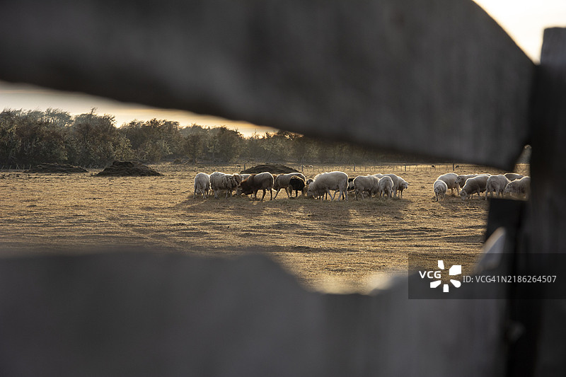 智利在火地岛的体验图片素材