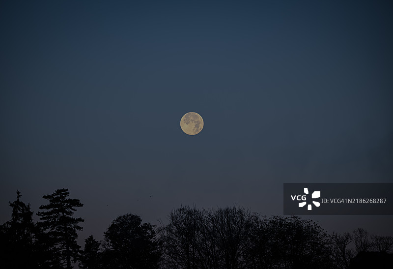 夜空中低角度视图的月亮图片素材