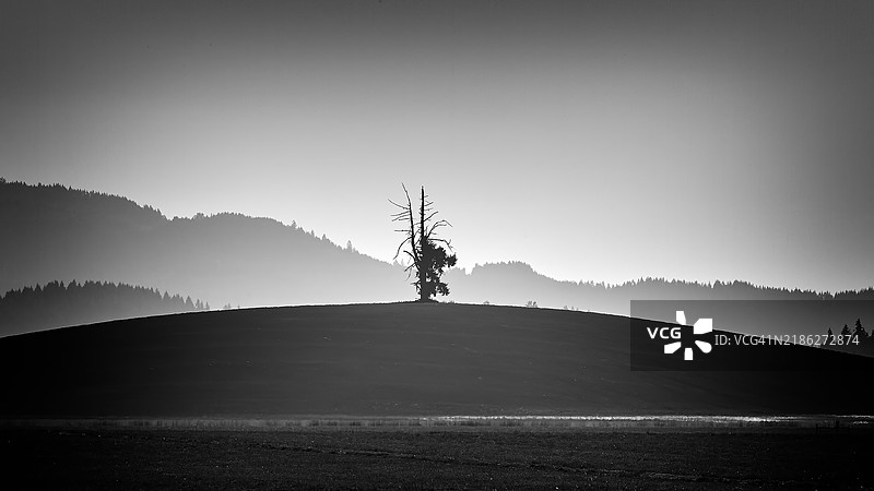 海洋与晴朗天空的美丽景色，俄勒冈州门罗，美国图片素材